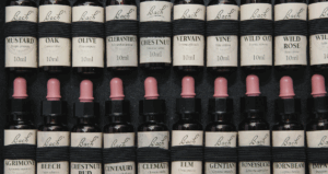 Emotionele ondersteuning uit de natuur met Bachbloesemremedies